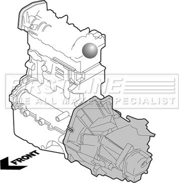 First Line FEM3981 - Piekare, Dzinējs www.autospares.lv