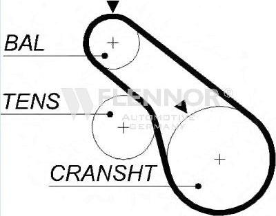 Flennor 4469V - Timing Belt www.autospares.lv