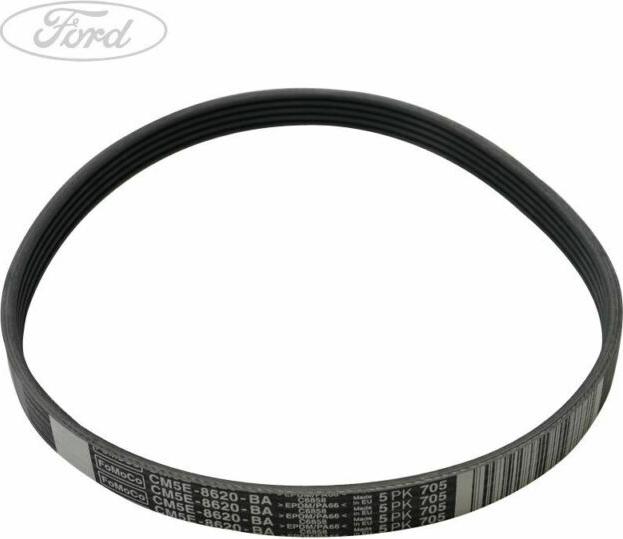 FORD 5113695 - Ķīļrievu siksna www.autospares.lv