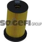 FRAM C8990ECO - Degvielas filtrs www.autospares.lv