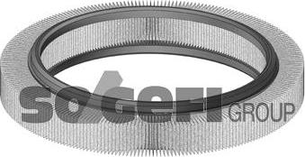 FRAM CA5376 - Gaisa filtrs www.autospares.lv