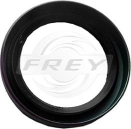 FREY 895500701 - Shaft Seal, crankshaft www.autospares.lv