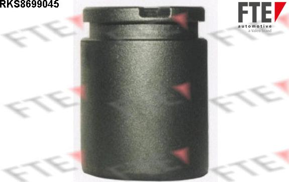 FTE RKS8699045 - Piston, brake caliper www.autospares.lv