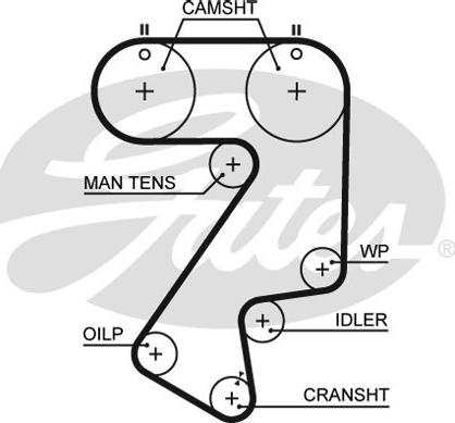 Gates 5404XS - Timing Belt www.autospares.lv