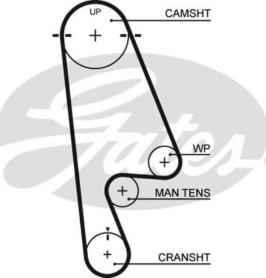 Gates 5480XS - Timing Belt www.autospares.lv