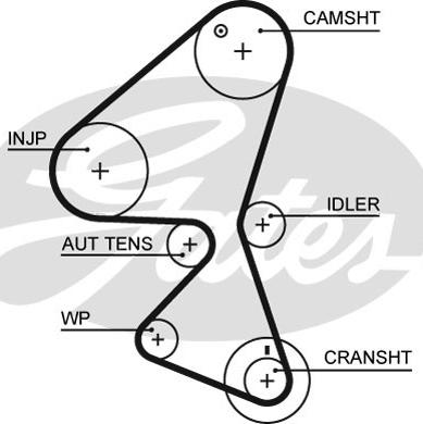 Gates 5598XS - Zobsiksna autospares.lv