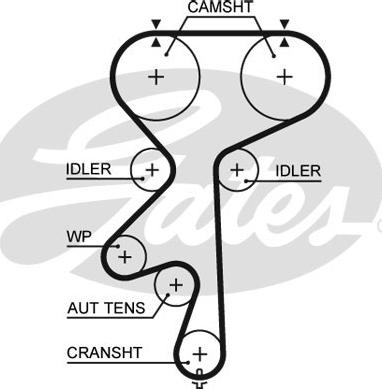 Gates 5542XS - Timing Belt www.autospares.lv