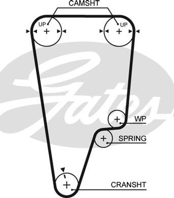 Gates T184RB - Zobsiksna www.autospares.lv