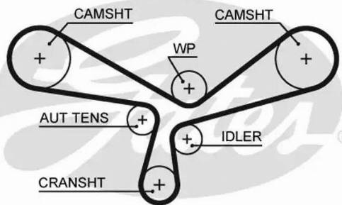 Gates 5520XS - Zobsiksna autospares.lv