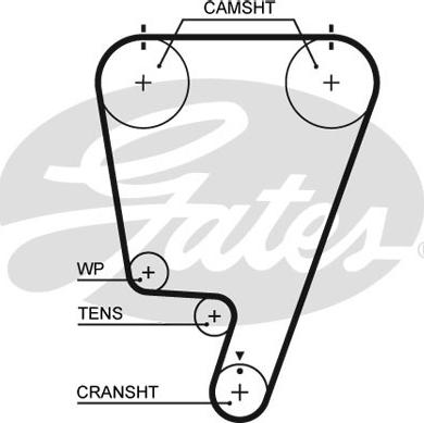 Gates 5642XS - Timing Belt www.autospares.lv