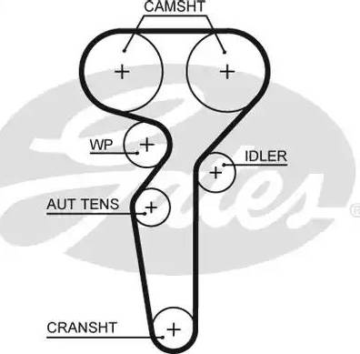 Gates 5655XS - Zobsiksna www.autospares.lv