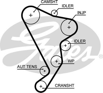 Gates 5661XS - Зубчатый ремень ГРМ www.autospares.lv