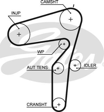 Gates 5600XS - Timing Belt www.autospares.lv