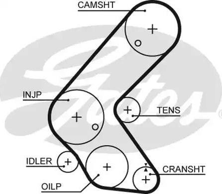 Gates 5679XS - Zobsiksna autospares.lv