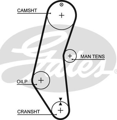 Gates 5018 - Zobsiksna www.autospares.lv