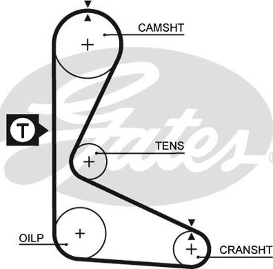 Gates 5109 - Timing Belt www.autospares.lv