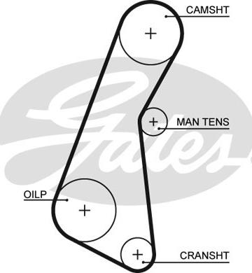 Gates 5121 - Зубчатый ремень ГРМ www.autospares.lv
