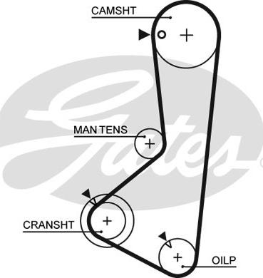 Gates 5254XS - Timing Belt www.autospares.lv