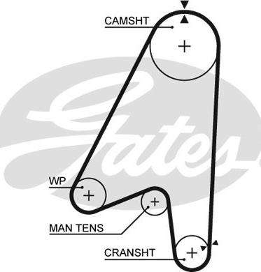 Gates 5239 - Zobsiksna www.autospares.lv