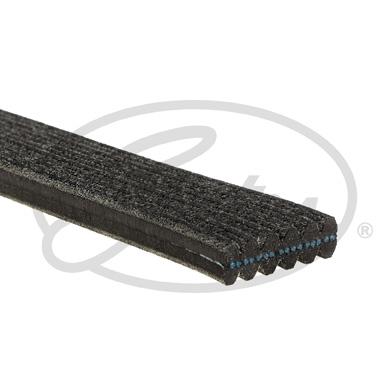 Gates 68433D - V-Ribbed Belt www.autospares.lv