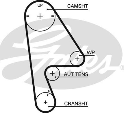 Gates T224RB - Zobsiksna www.autospares.lv