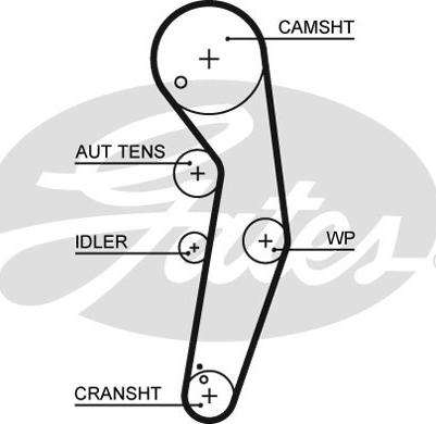 Gates K065569XS - Zobsiksnas komplekts www.autospares.lv