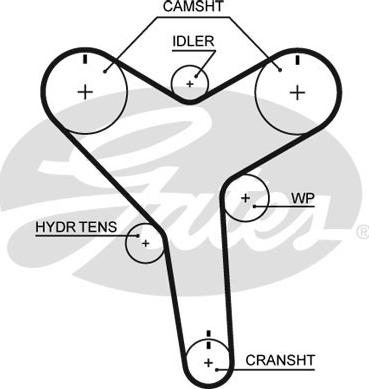 Gates T271 - Zobsiksna www.autospares.lv