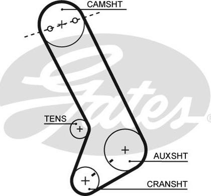 Gates T071 - Zobsiksna www.autospares.lv