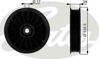 Gates T38034 - Parazīt / Vadrullītis, Ķīļrievu siksna autospares.lv