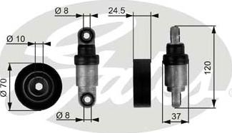 Gates T38244 - Parazīt / Vadrullītis, Ķīļrievu siksna autospares.lv