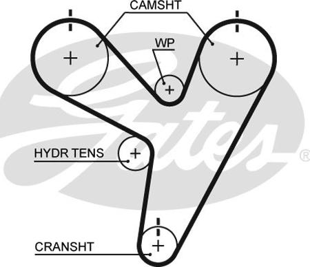 Gates T255 - Timing Belt www.autospares.lv