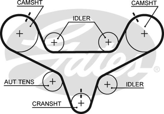 Gates T267 - Zobsiksna www.autospares.lv