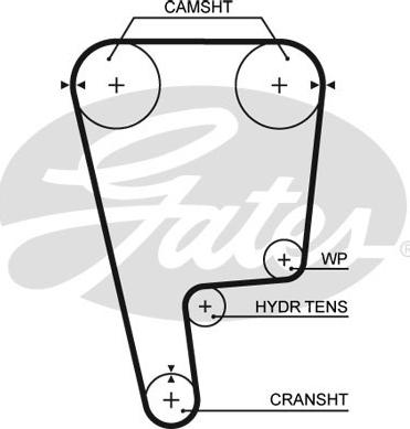 Gates T226 - Timing Belt www.autospares.lv