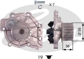 Gates WP0081 - Ūdenssūknis www.autospares.lv