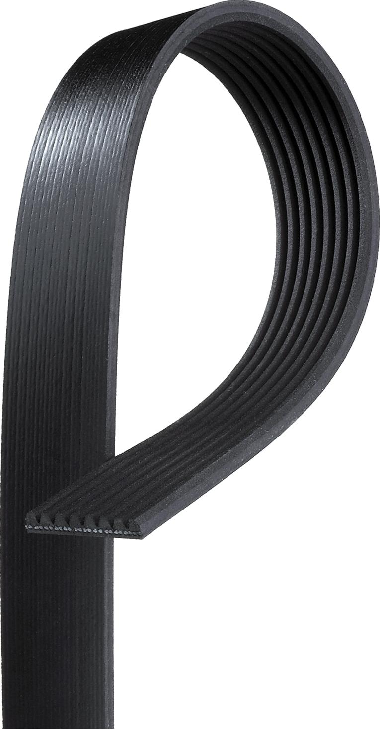 GATES-AU 8PK1650 - V-Ribbed Belt www.autospares.lv