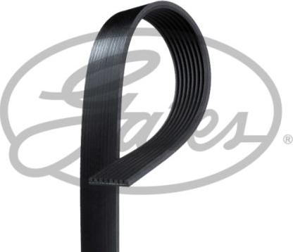 GATES-SEA 8PK1385 - V-Ribbed Belt www.autospares.lv