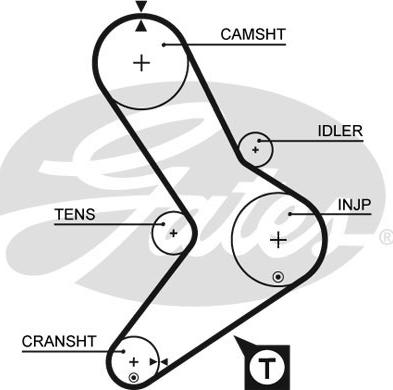GATES-SEA T957 - Timing Belt www.autospares.lv