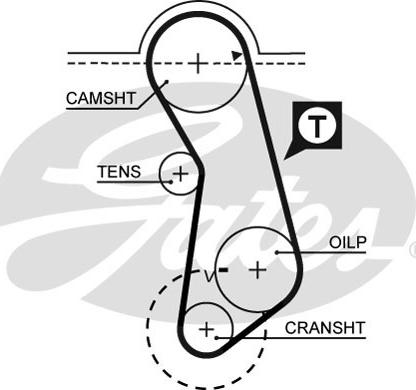 GATES-SEA T017 - Zobsiksna autospares.lv