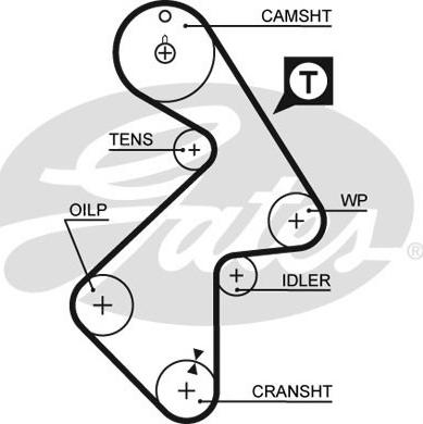 GATES-SEA T199 - Timing Belt www.autospares.lv