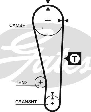 GATES-SEA T141 - Zobsiksna www.autospares.lv