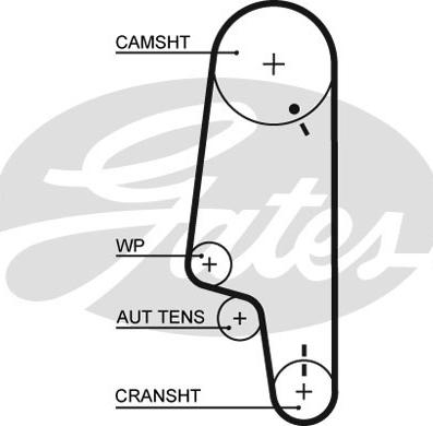 GATES-SEA T1548 - Timing Belt www.autospares.lv