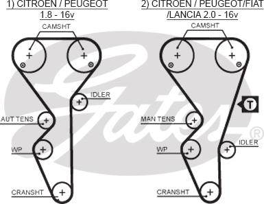 GATES-SEA T1504 - Zobsiksna www.autospares.lv