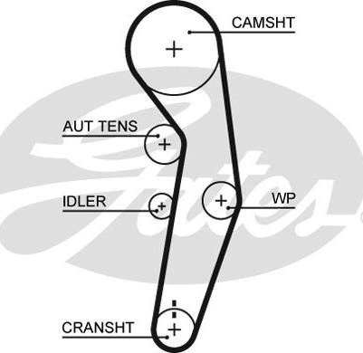 GATES-SEA T1584 - Timing Belt www.autospares.lv