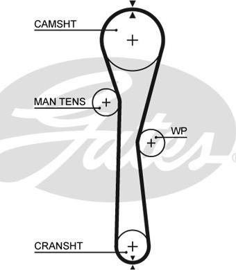 GATES-SEA T1577 - Timing Belt www.autospares.lv