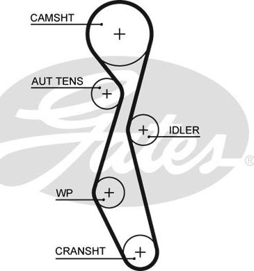 GATES-SEA T1638 - Timing Belt www.autospares.lv