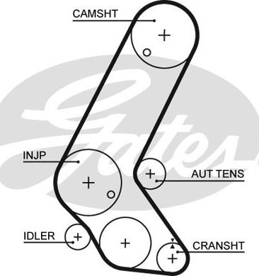 GATES-SEA T1632 - Zobsiksna www.autospares.lv