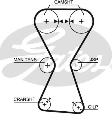 GATES-SEA T167 - Timing Belt www.autospares.lv