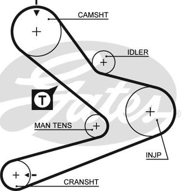 GATES-SEA T1092 - Timing Belt www.autospares.lv