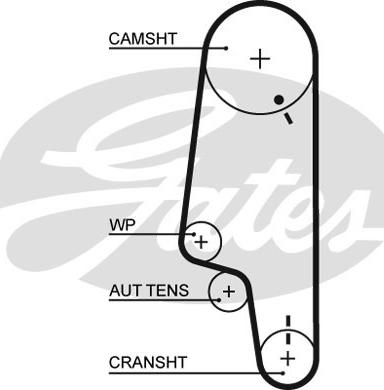 GATES-SEA T1069 - Зубчатый ремень ГРМ www.autospares.lv