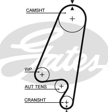 GATES-SEA T1022 - Zobsiksna autospares.lv